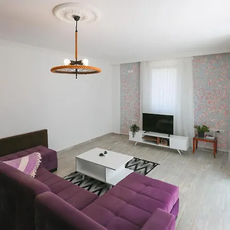 Alina Otel